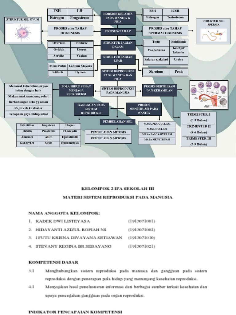 K2. Mm + Materi Pertemuan 1 | Pdf