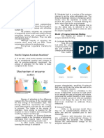 Enzymes: Dennis Ivan Bravo, MD