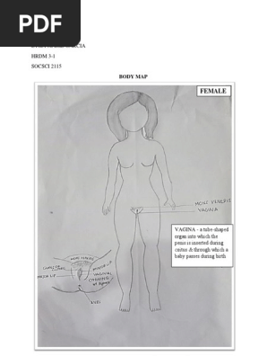 BODY-MAP