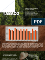 Avaliação de Impacto Socioambiental G7 - Produção de Tabaco