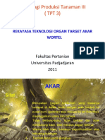 Organ Target Akar BARU