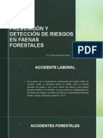 Prevención y Detección de Riesgos en Faenas Forestales