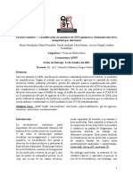 Cuantificación ADN y electroforesis