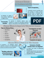 Infografía. Temas 14, 15, 16, 17 y 18