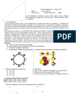 Prueba Diagnóstica