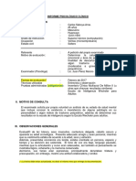 Modelo 1 Informe Psicologico 2020