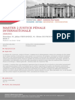 Master 2 Justice pénale internationale