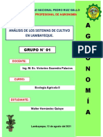 Tarea N°04 - Análisis de Los Sistemas de Cultivo en Lambayeque