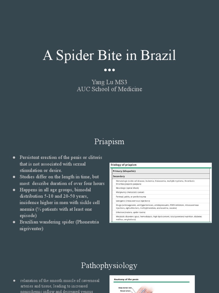 The Venomous Priapism of the Brazilian Wandering Spider: A Case Report ...