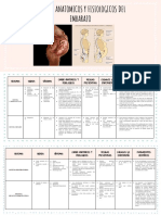 Cambios Anatomicos y Fisiologicos Del Embarazo