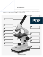 Partes Del Microscopio Parte 2