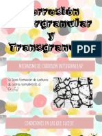 Inergranularytransgranular RamirezTrejoJanet MM51