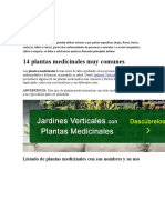 Plantas Medicinales