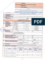 Resumen Ejecutivo Pes Nro. 28 20200722 185011 571