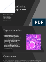 Dejeneracion Hialina, Amiloide y Pigmentos Exógenos