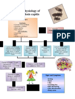 Pathophysiology of Pediculosis Capitis