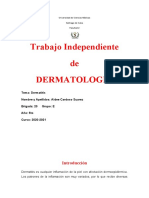 Aidee Cardoso Brigada 20 Trabajo de Dermatitis