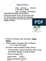 Pertemuan Minggu Ke 2 (Protein)