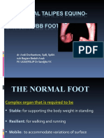 The Normal Foot and Clubfoot (CTEV