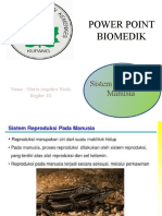 Power Point Biomedik