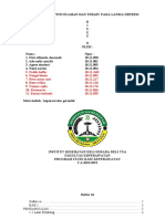 Makalah Pencegahan Dan Terapi Pada Lansia Depresi