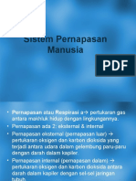 Pertemuan 5 - Sistem Pernapasan Manusia