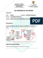 Guía 6 Ciencias Naturales 5°