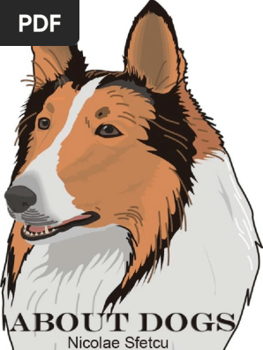 Cão De Castro Laboreiro: Unveiling Portugal's Canine Gem