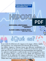 Hipoxia y shock Alison Camila García Rico