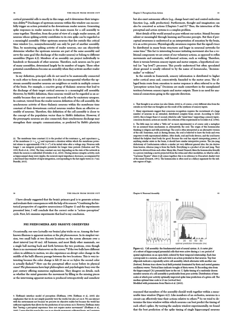 Neuroscience of Neuronal Assemblies | PDF | Perception | Brain
