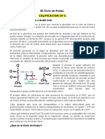 EQUIPO_3_CICLO DE KREBS