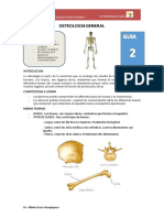 Guia 2 SISTEMA OSEO