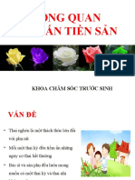 2 Te1bb95ng Quan Tu Van Ts Bs Thanh Van