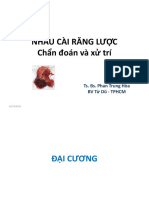 NCRL - Dai Cuong