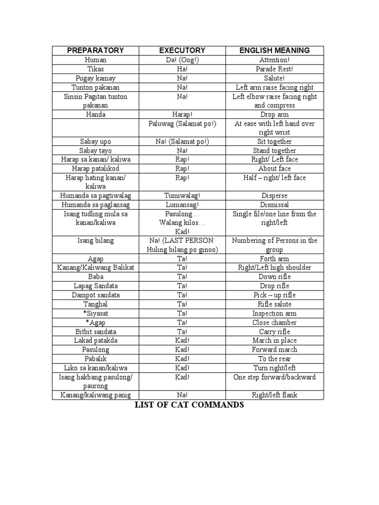 CAT Commands PDF Military Life Military