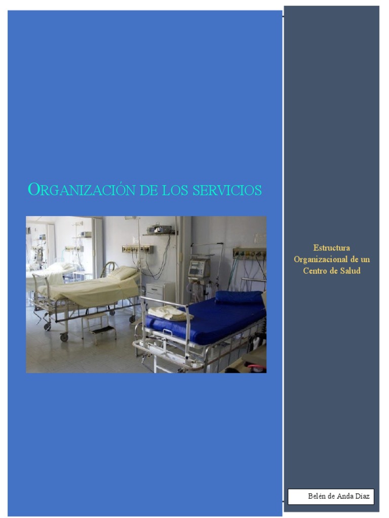 Estructura Organizacional en Salud | PDF | Hospital | Enfermería