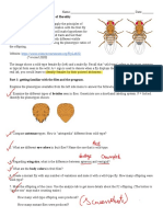 Drosophila Lab 1_ Mono and Di hybrid crosses (1)