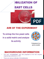 Immobilization of Yeast Cells