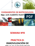 Practica 8 - Fund. de Biotecnología