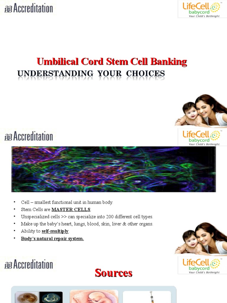 Umbilical Cord Stem Cell Banking Guide | PDF | Food And Drug ...