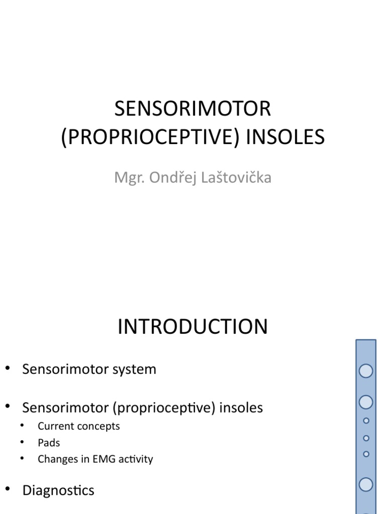 SENSORIMOTOR INSOLES | PDF