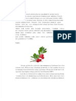 PDF Glikosida Fenolik Farmakognosi