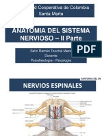 Anatomia Sist Nervioso 2013 Nervios Espinales