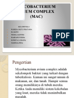 PP Mycobacterium Avium Complex