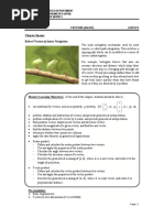 M1 2019 Vector Basic Notes For SLS