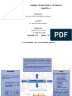 Anatomia Musculos