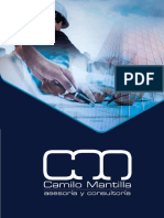 portafolio Camilo Mantilla Consultor