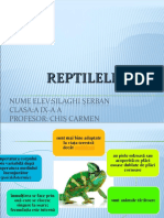 Reptile - Silaghi Serban