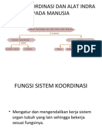 Faal - Sistem Koordinasi