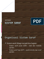 Sistem Saraf dr Agnes
